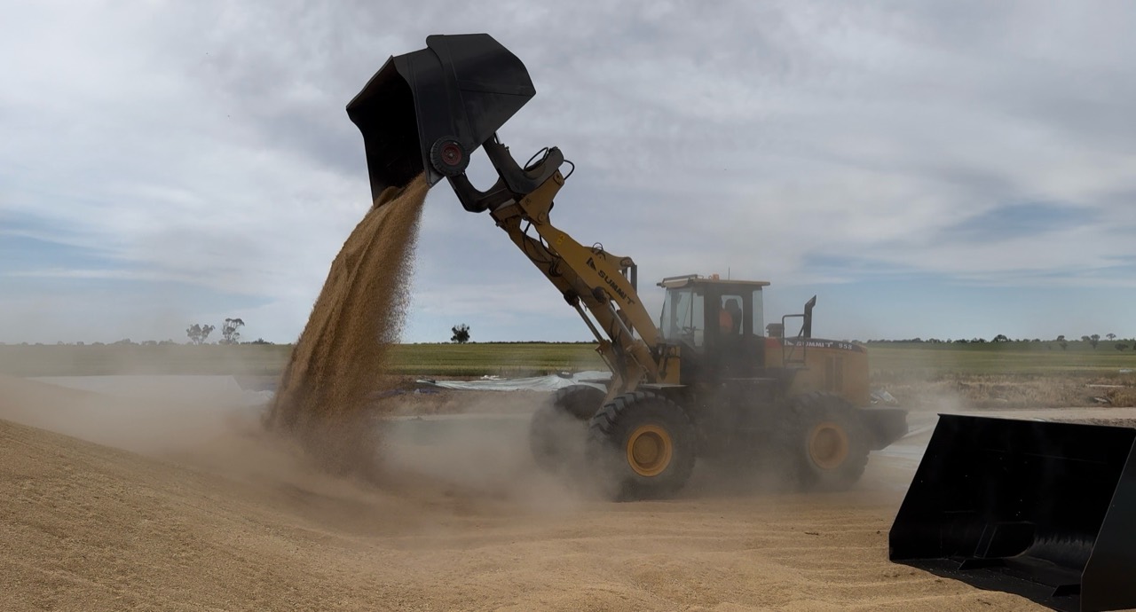 Summit wheel loader handling grain in Australian agricultural conditions